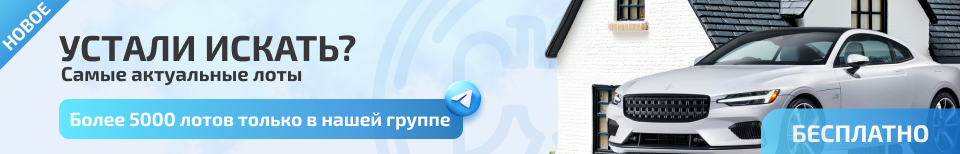 Баннер внутри лота Телеграмм